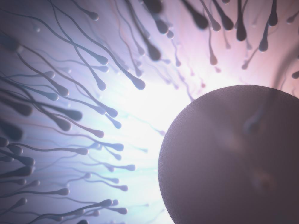 Inseminacion Artificial - Conceptum_